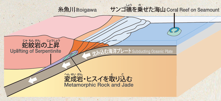 ヒスイ3億年前