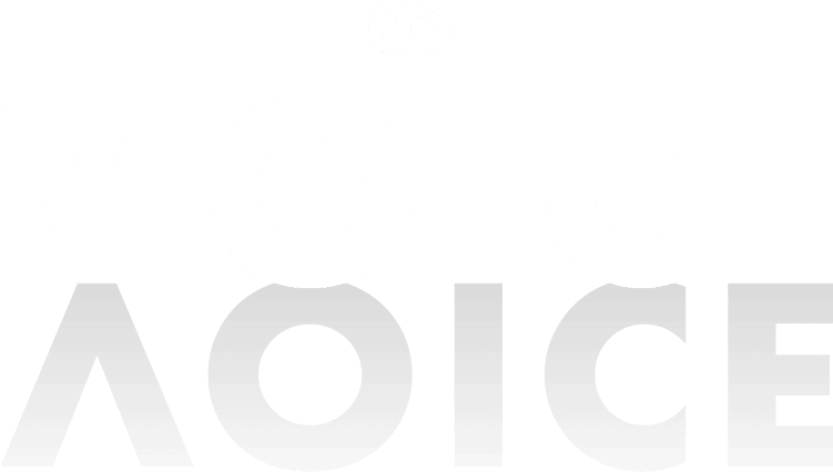03 VOICE