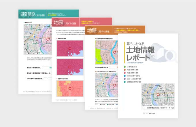 Land information report sample