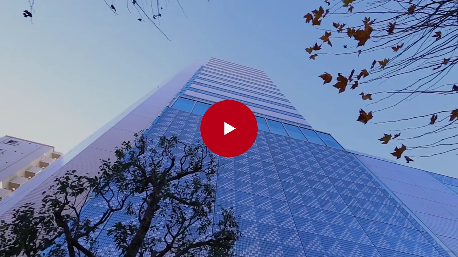 動画サムネイル。ビルと空の写真。