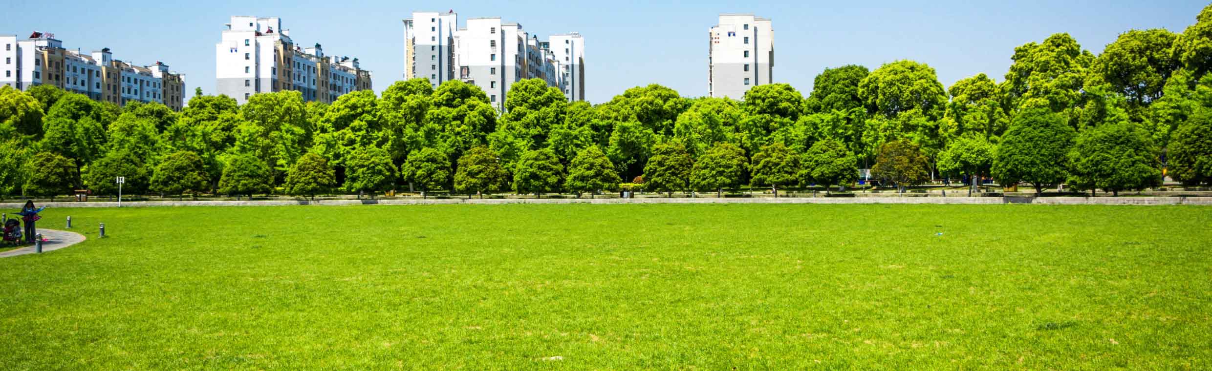 City and nature