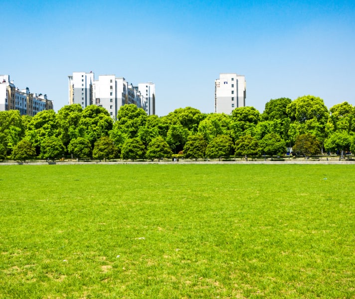 City and nature