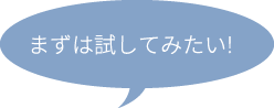 まずは試してみたい！