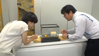 Navigating Disasters